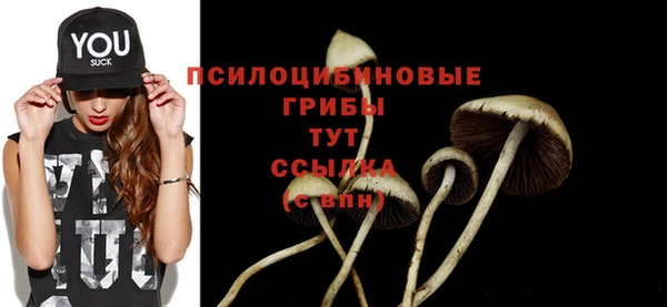 твердый Покров