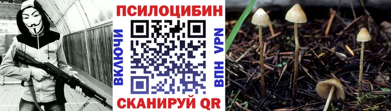 Галлюциногенные грибы Cubensis  Купить  Правдинск 